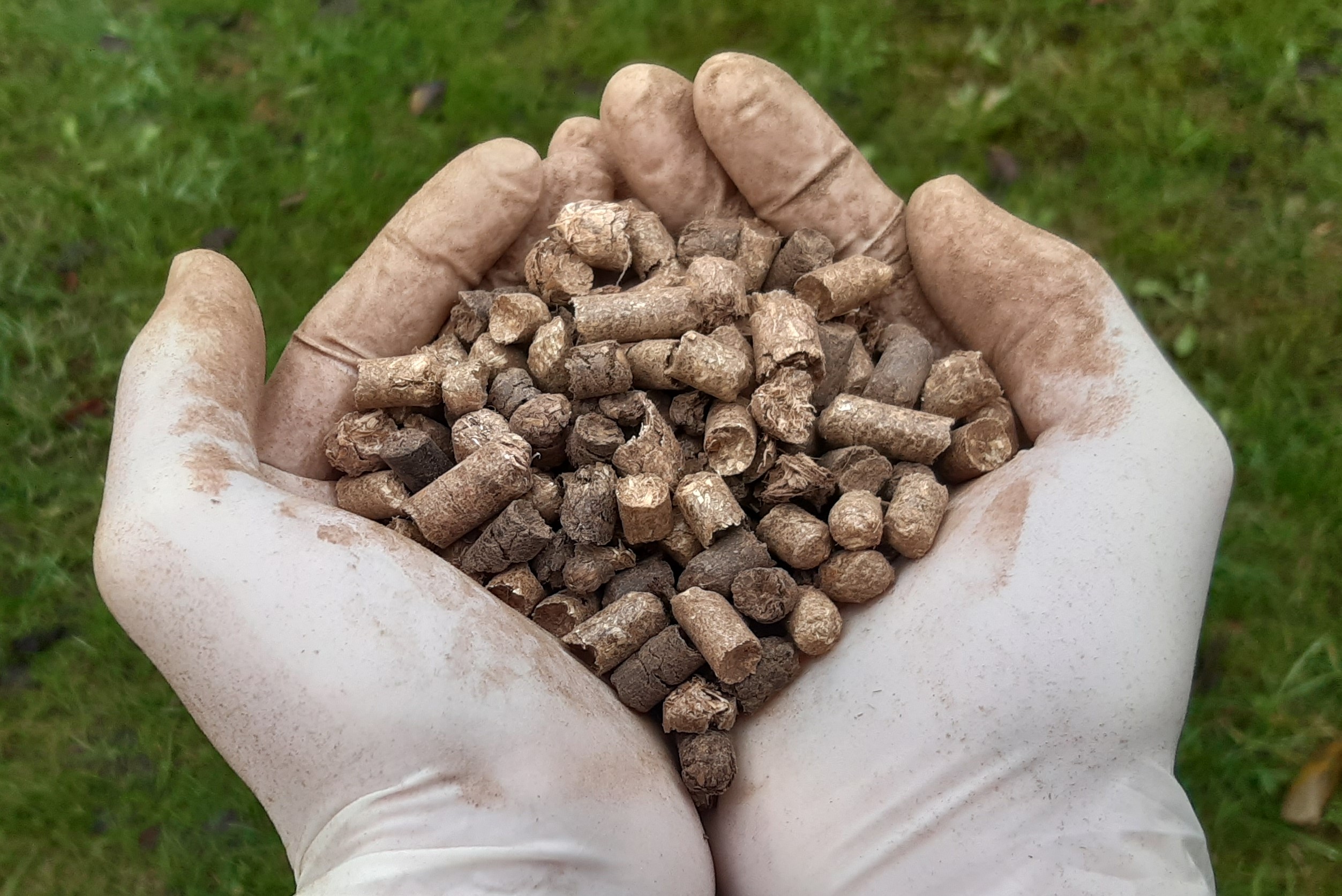 Analyse the pressed anaerobic digestion residues (from biogas) as biofertilizer and identify possible routes for the production of biobased chemicals via valorization of lignin in the anaerobic residues.