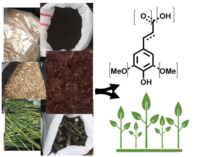 Work package 7: Valorization of the digestate and lignin-enriched residue streams